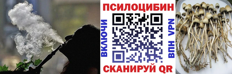 Псилоцибиновые грибы прущие грибы  Купить где  Асбест 